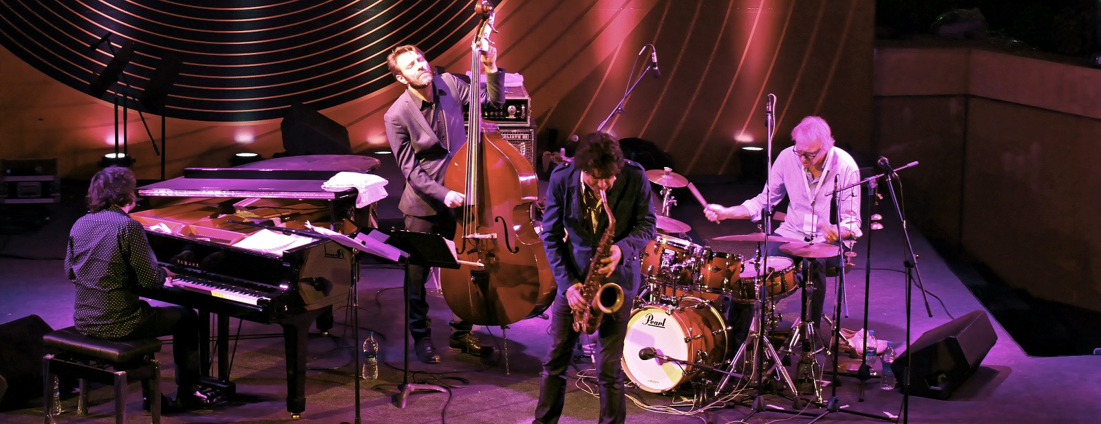 Total Environment Jazz festival — Concert Sound & Lighting